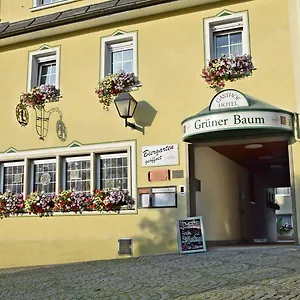 Grüner Baum Naila